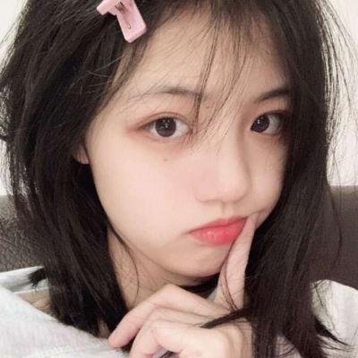 兔子镇的火狐狸