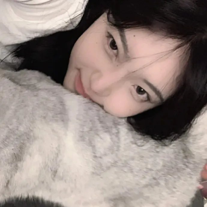 派特森与芬达猫