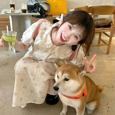 矢野同学的普通日常