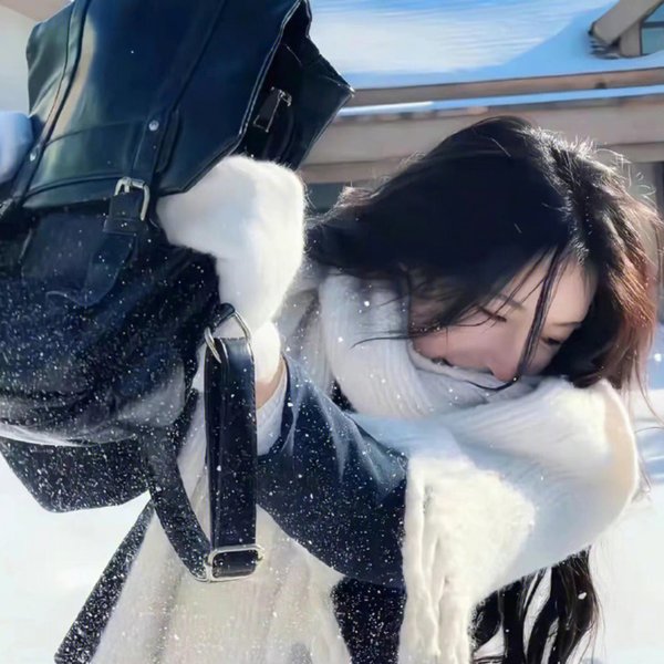 雪地灵犬2